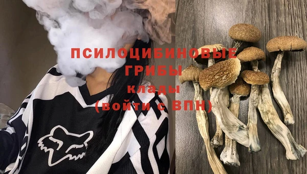 стафф Алексеевка